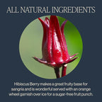 Rishi Tea Hibiscus Berry Herbal Tea - Image 3