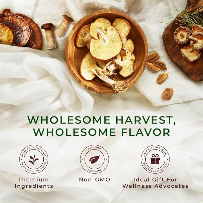 Gya Tea Co 8X Mushroom Herbal Tea Pod- Decaf Wellness Tea - Image 6