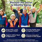 2Pack NAD+ Supplement, Next-Gen NMNH Liposomal 500mg, NR NMN Supplement - Image 2