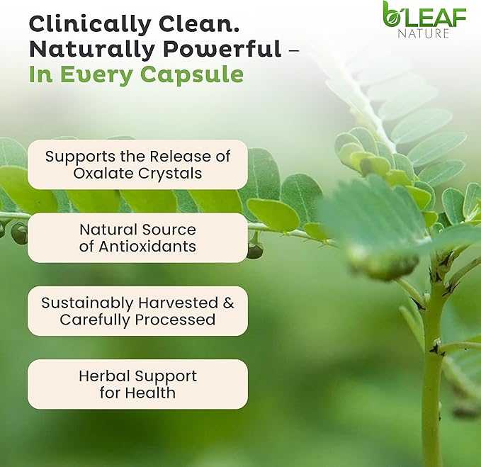 B’Leaf Nature Chanca Piedra Stone Breaker, 100 Capsules, 1000mg – Traditional - Image 5