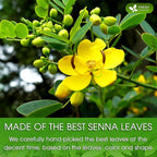 FreshDrinkUS, Premium 32oz Senna Leaf Powder, 100% Natural and Pure from Senna - Image 6