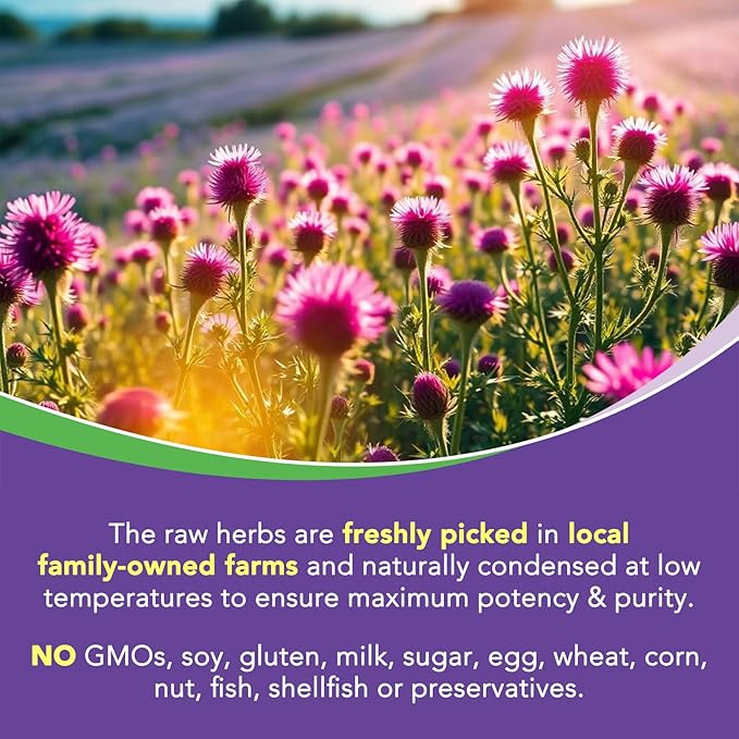 4-in-1 Milk Thistle Complex for Men & Women, Milk Thistle Extract - Image 7