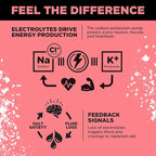LMNT Zero Sugar Electrolytes - Image 5
