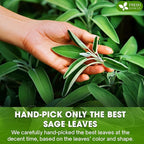 FreshDrinkUS, Sage Leaf Powder 8oz – Premium Culinary Herb, Pure Ground Sage - Image 6