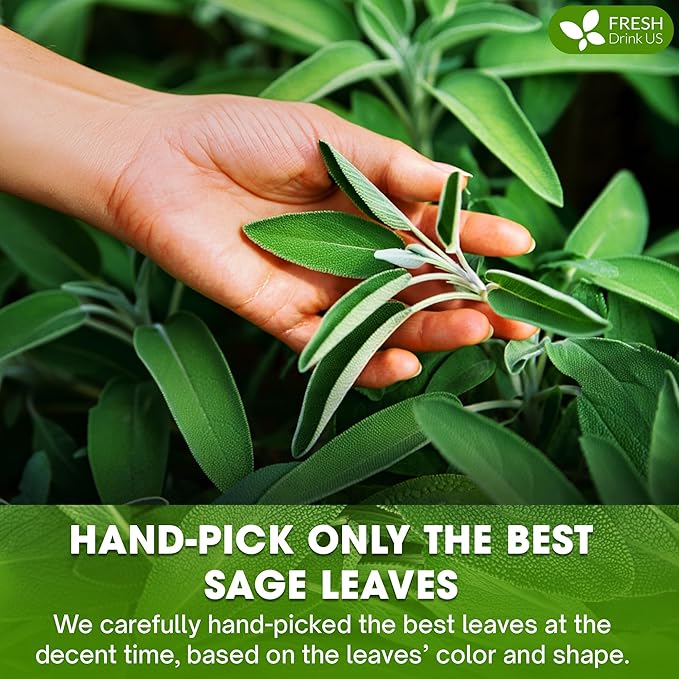 FreshDrinkUS, Sage Leaf Powder 16oz – Premium Culinary Herb, Pure Ground Sage - Image 6