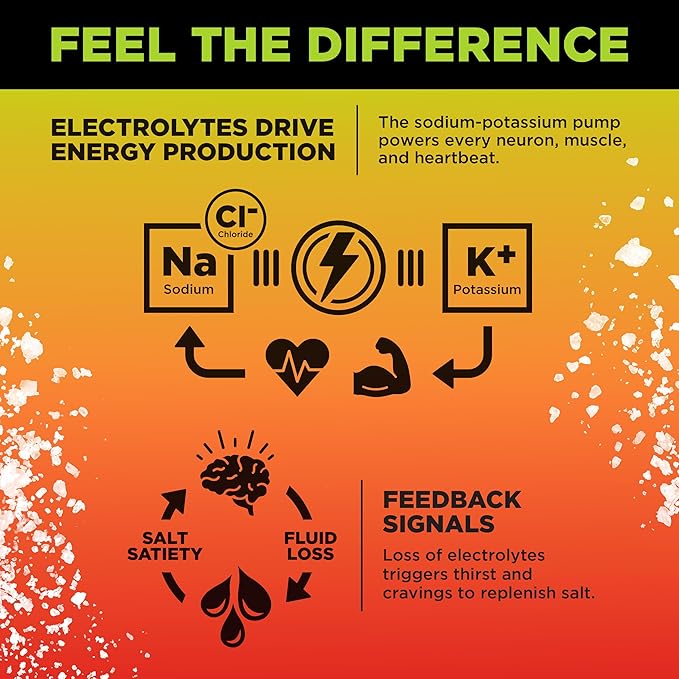 LMNT Zero Sugar Electrolytes - Image 5