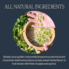 Rishi Tea Golden Chamomile Blossoms Herbal Tea - Image 3