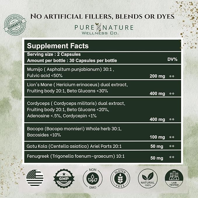 Focus + Energy + Performance Support-6-in-1 Mushroom Nootropic & Mitochondrial - Image 2