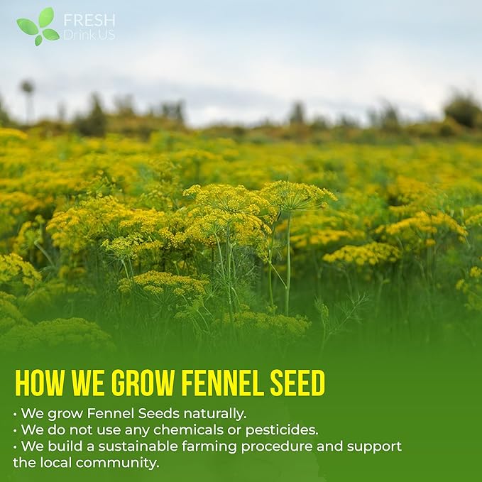 FreshDrinkUS, Premium 55 Fennel Tea Bags, 100% Natural & Pure from Fennel - Image 5
