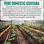 High‑Polyphenol Ashitaba Tea Blend – Demeter Certified Biodynamic U.S. Organic - Image 5