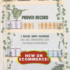 10‑Mushroom Blend Gummies – Clean, Non‑GMO Gummy – Daily Immune, Energy & Brain - Image 8