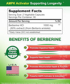 aSquared Nutrition Pure Berberine 1000mg Supplement - Image 4