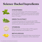 Lemme Burn - Metabolism, Belly Fat Burning + AMPK Activating Supplement - Image 3