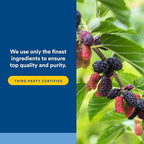 PGX by Natural Factors, WellBetX Plus Mulberry, 180 vegetarian capsules - Image 5