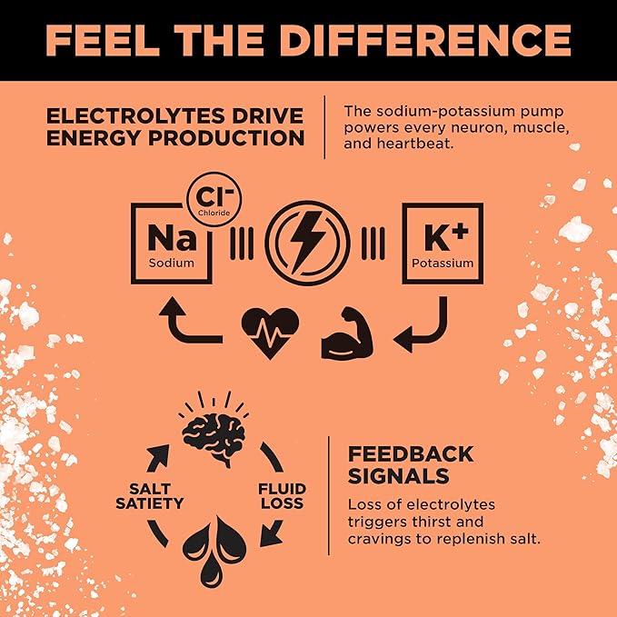 LMNT Zero Sugar Electrolytes - Image 5
