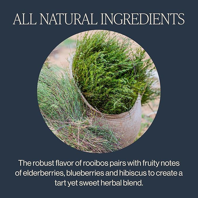 Rishi Tea Blueberry Rooibos Herbal Tea - Image 3