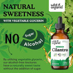 Wild & Organic Cilantro Tincture - Image 6