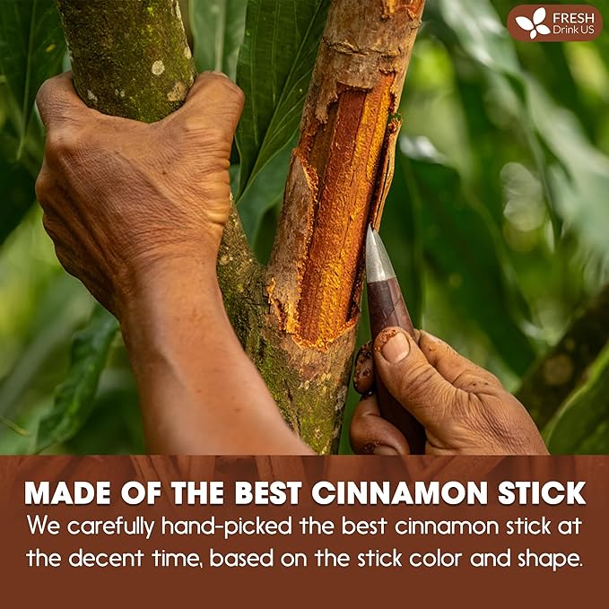 FreshDrinkUS, Premium Cinnamon Powder 8oz – Pure Ground Cinnamon - Image 5