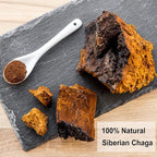 TEARELAE - Chaga Tea - 2g x 40 Count - Wild Harvest from Siberia - 100% Pure - Image 6