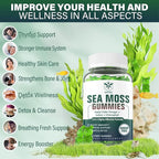 1Pack Sea Moss Gummies Sugar-Free, Extra Strength Irish Moss Gel Supplement - Image 5