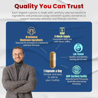 10 in 1 High Strength Mushroom Supplement - Image 6