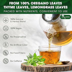 TOG999, Premium Oregano Herbal Tea - Image 4