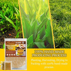 Premium Turmeric Ginger Cinnamon Tea Bags Organic, Turmeric Curcumin Supplement - Image 4