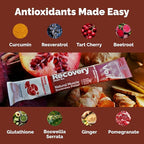 Voli Recovery - Post Workout Superfood Powder | Plant-Based Drink Mix Packets - Image 2