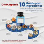 10 in 1 High Strength Mushroom Supplement - Image 2