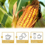 TEARELAE - Corn Silk Tea Bags - Image 6