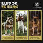 - 302 Servings of Dog Weight Gainer - Image 4