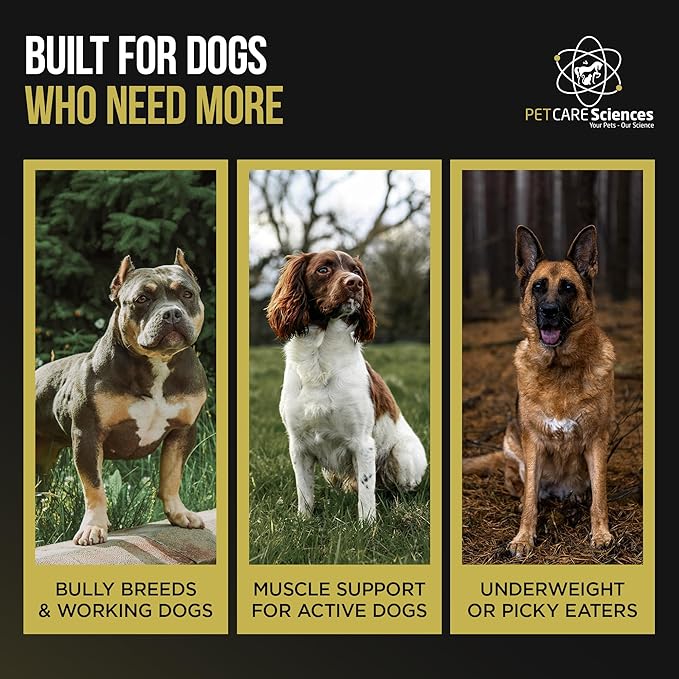 - 302 Servings of Dog Weight Gainer - Image 4