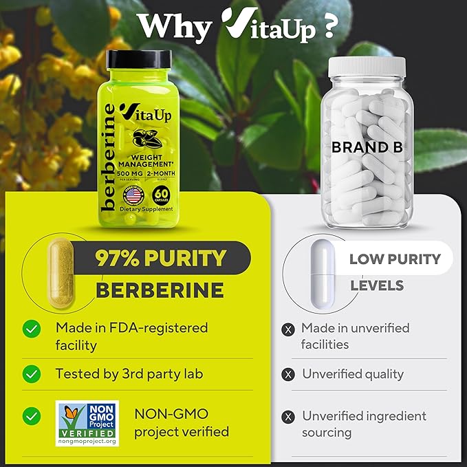 Berberine Supplement 500mg - Image 5