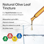 BIO KRAUTER® Olive Leaf Extract - Image 4