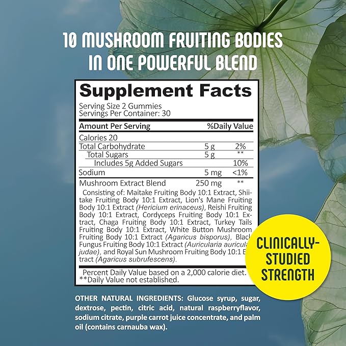 10‑Mushroom Blend Gummies – Clean, Non‑GMO Gummy – Daily Immune, Energy & Brain - Image 3
