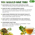 FreshDrinkUS, Premium 55 Senna Leaf Tea Bags, 100% Natural & Pure from Senna - Image 3