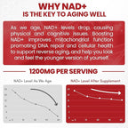 Liquid NAD, Extra Strength 1, 200mg NAD+ Supplement - Image 4