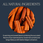 Rishi Tea Cinnamon Plum Herbal Tea - Image 3