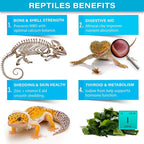 'Complete Minerals Plus' Supplement - Image 4