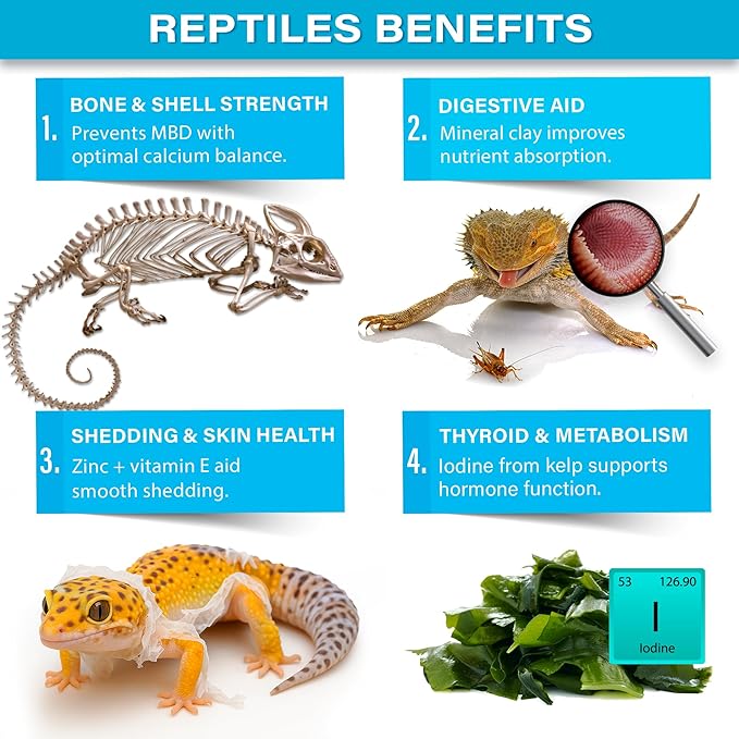 'Complete Minerals Plus' Supplement - Image 4