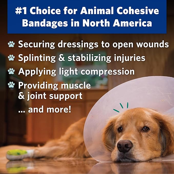 PetFlex Color Pack – Flexible Self-Adhering Elastic Bandage - Image 3