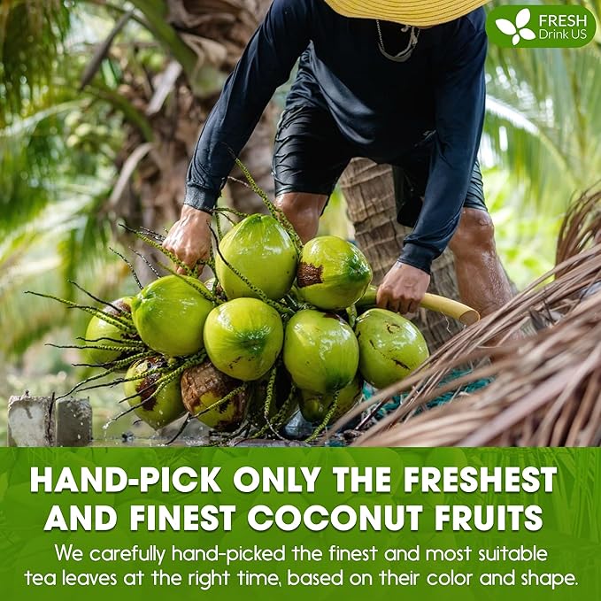 FreshDrinkUS, Coconut Milk Powder 16oz – Creamy & Rich Coconut Flavor – Great - Image 6