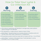 Lyme and Co-Infection Recovery Kit 7-Supplement Microbial Gut Cleanse Kit - Image 9