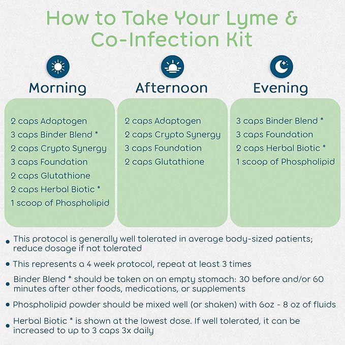 Lyme and Co-Infection Recovery Kit 7-Supplement Microbial Gut Cleanse Kit - Image 9