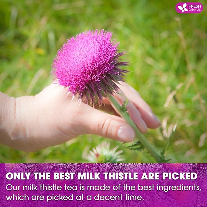 FreshDrinkUS, Premium 205 Milk Thistle Tea Bags, 100% Natural & Pure from Milk - Image 6