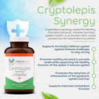 Lyme and Co-Infection Recovery Kit 7-Supplement Microbial Gut Cleanse Kit - Image 4