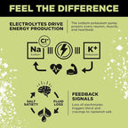 LMNT Zero Sugar Electrolytes - Image 5