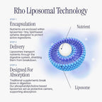 Rho Nutrition Liposomal Magnesium - Image 7
