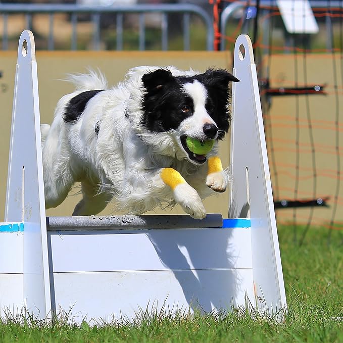 PetFlex Color Pack – Flexible Self-Adhering Elastic Bandage - Image 5