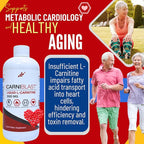 Bricker Labs CARNIBLAST Liquid L-Carnitine 3000mg, Premium L Carnitine Carnipure - Image 8